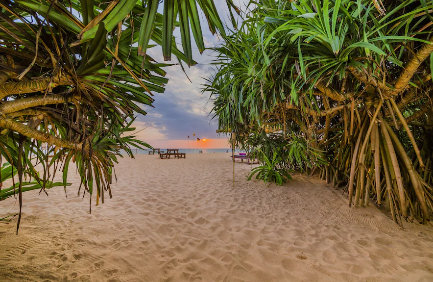 Golden sunset beach at Ahungalla