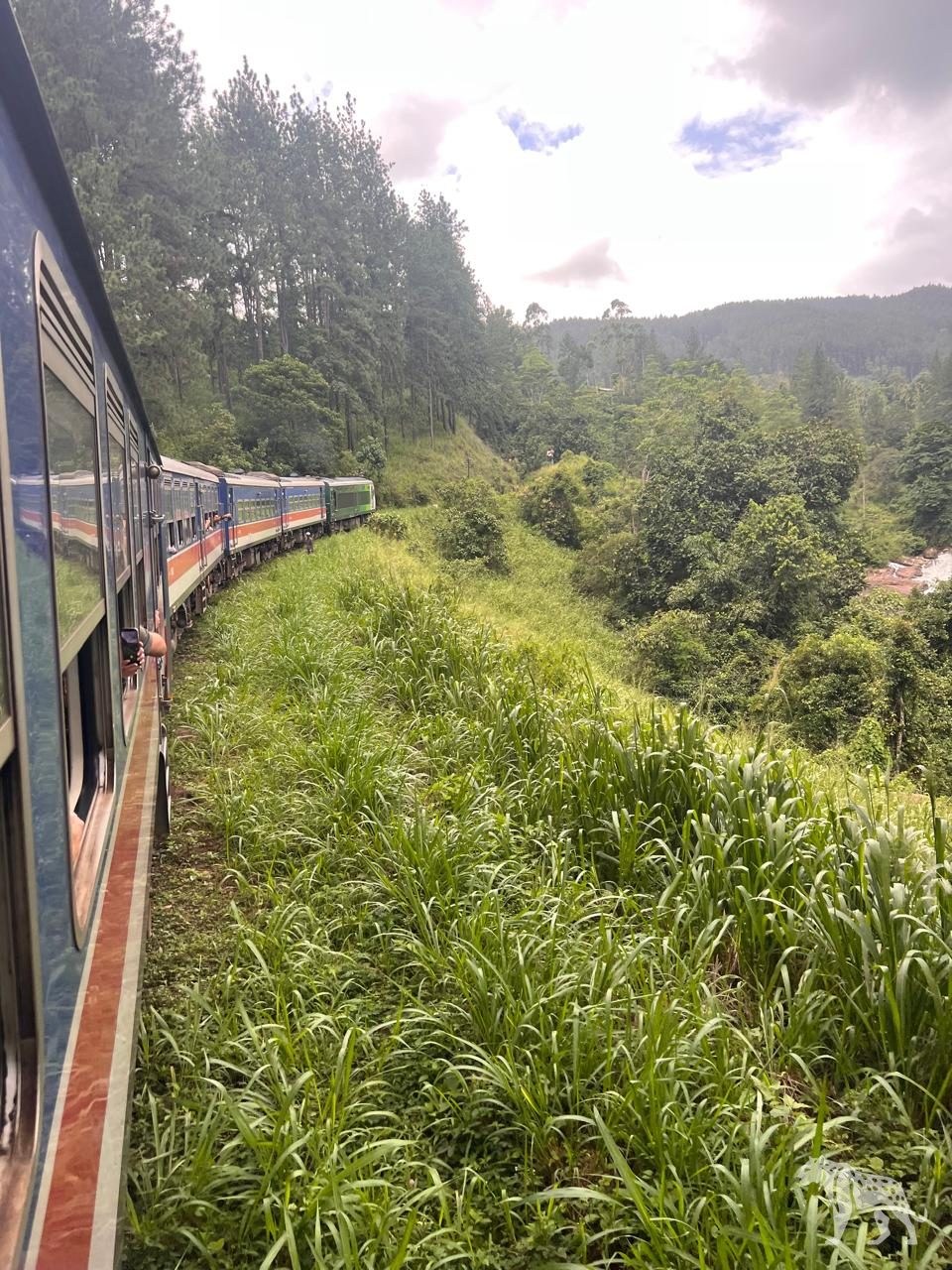 Hill-country train ride to Ella