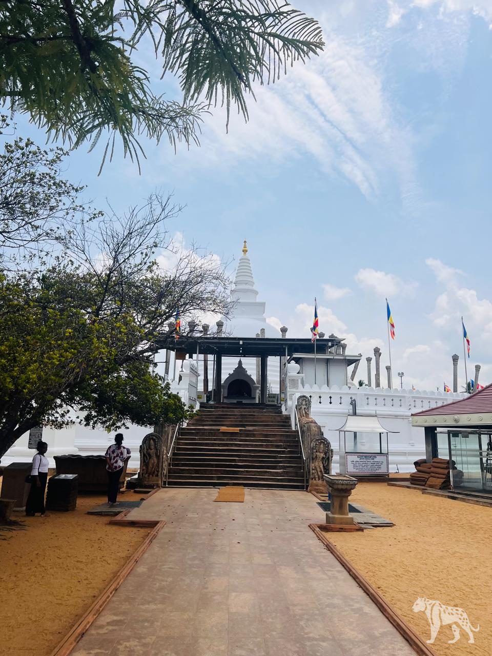 Thuparamaya stupa, Anuradhapura
