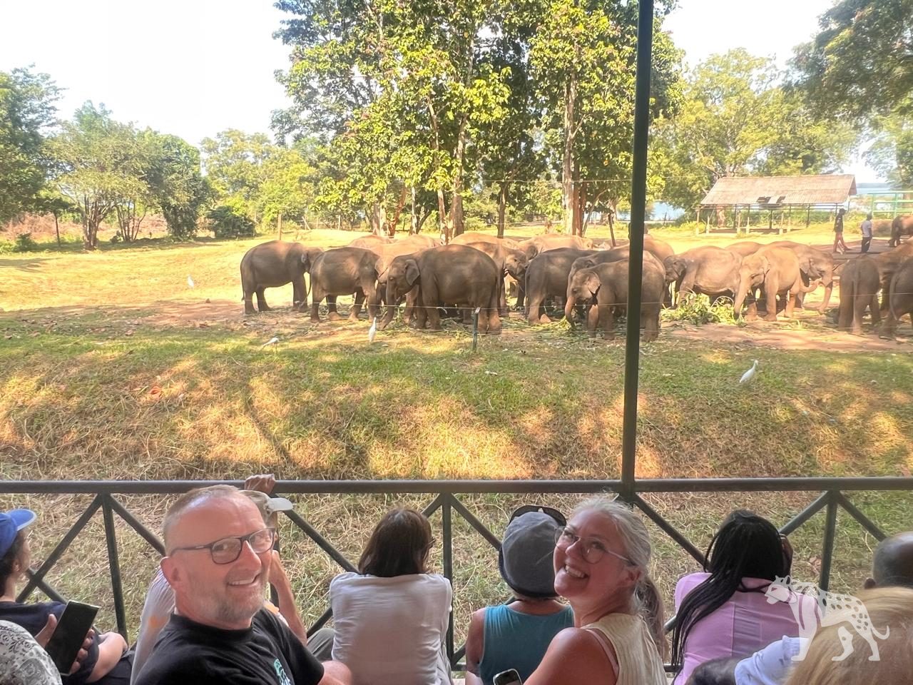 Travelers watching elephant herd at Udawalawe