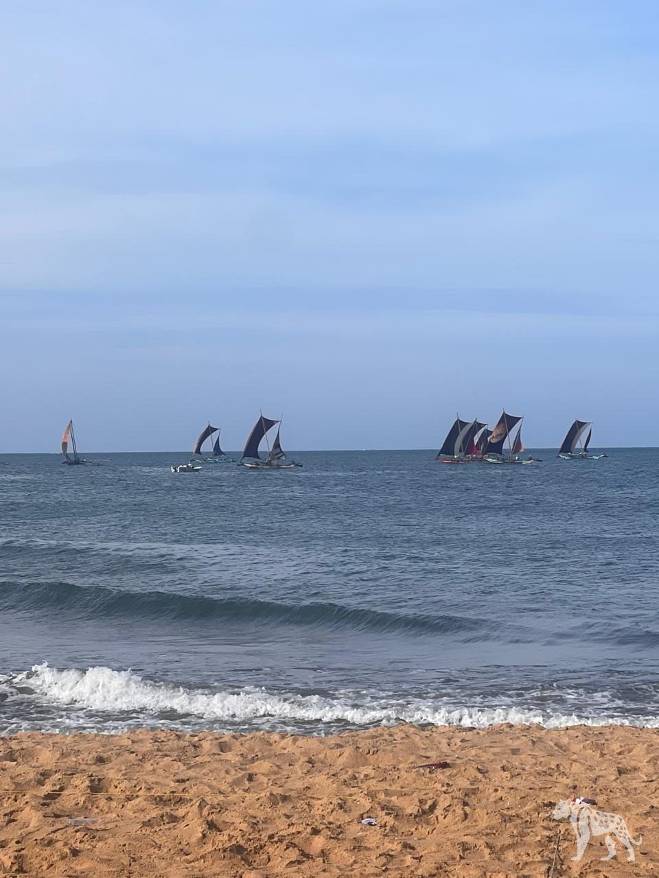 Traditional sail boats off Negombo beach