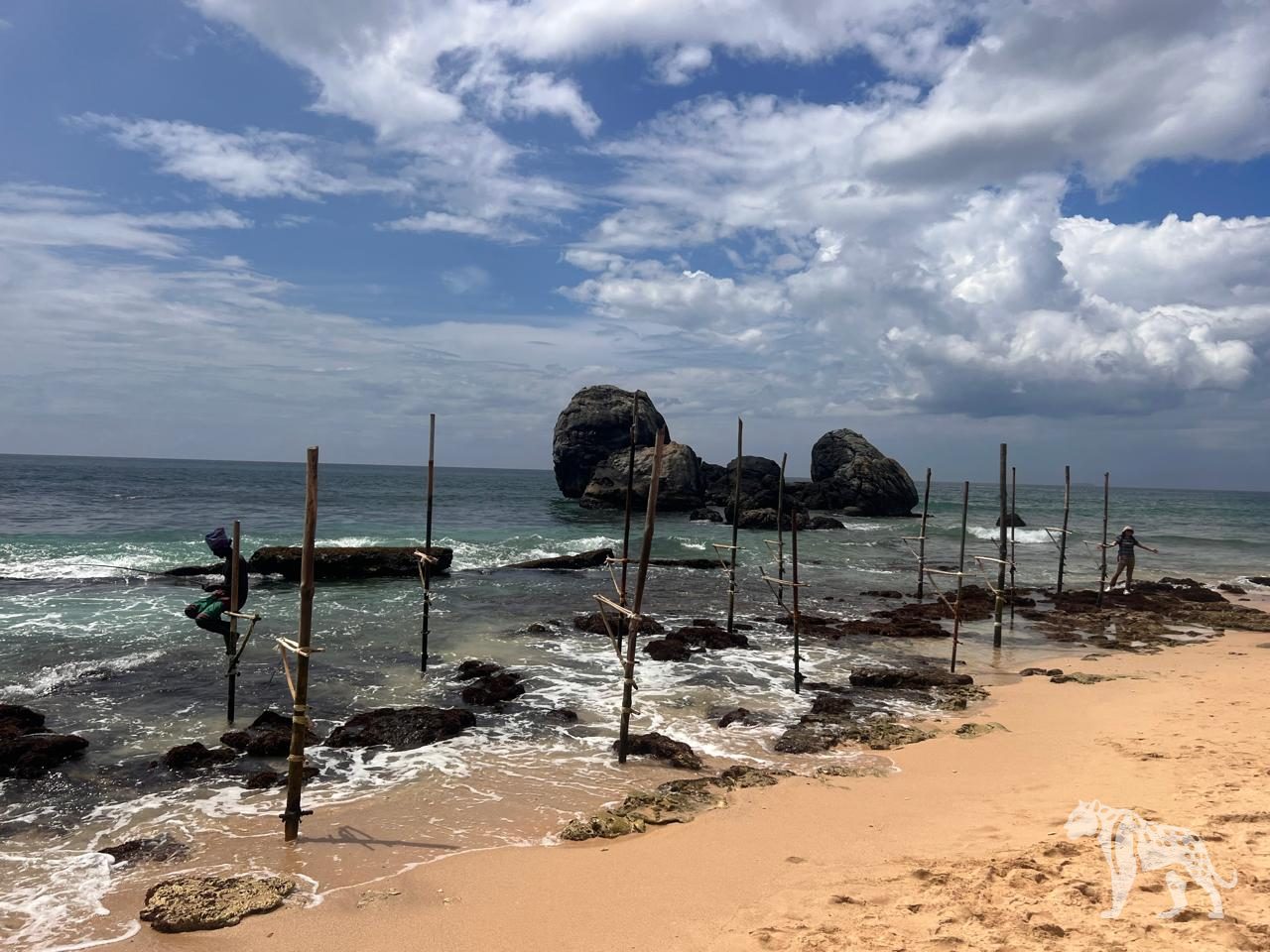 Stilt fishermen of Koggala